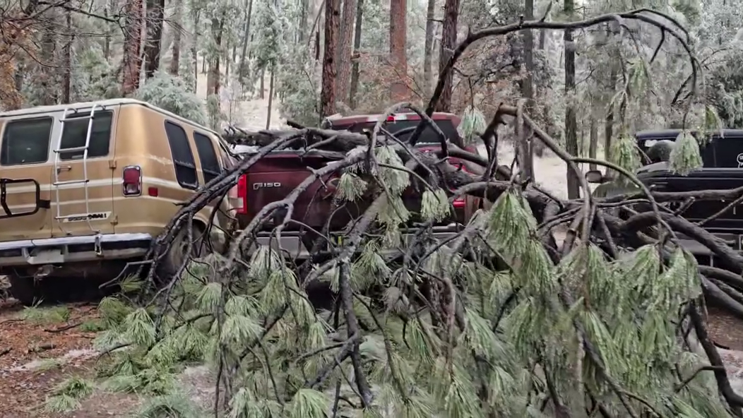 Ice accumulation causes trees to fall on cars in Ruidoso