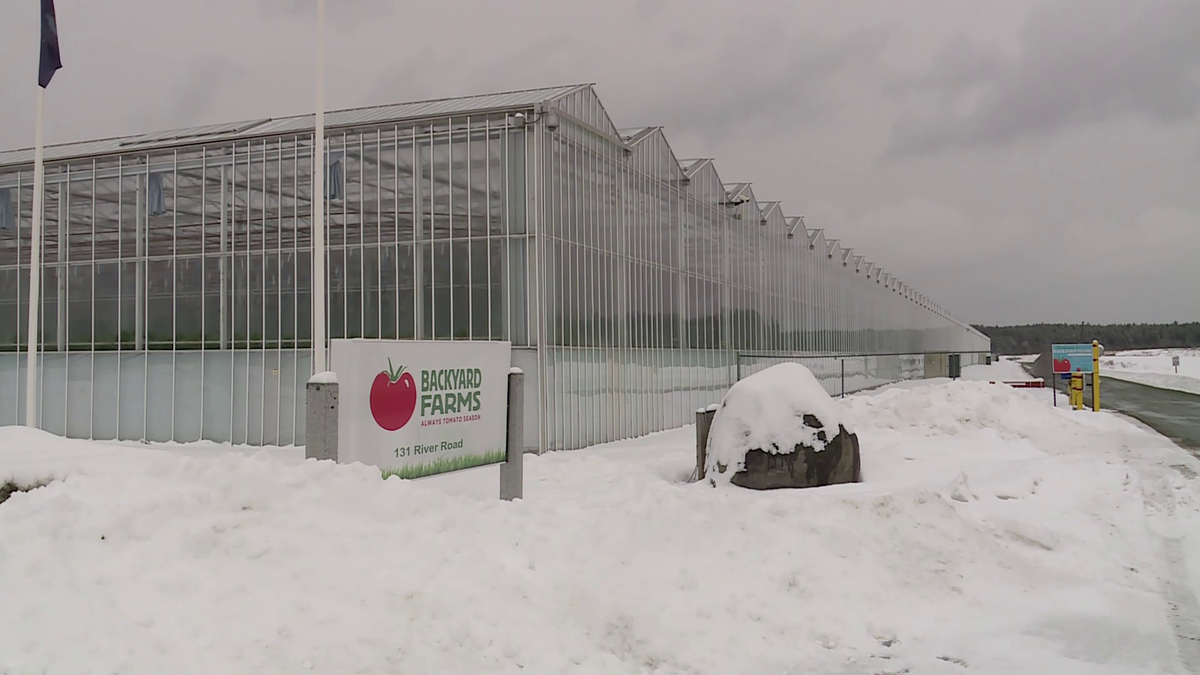 17 people riding farm workers' bus arrested by immigration enforcement agents. group says