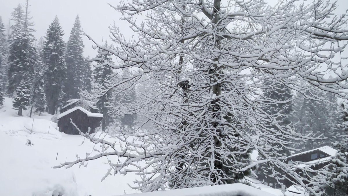 Northern California storm forecast: Heavy Sierra snow, rain and wind in the Valley and Foothills