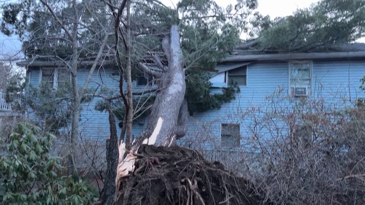 Wild winds down trees, leave thousands without power in Massachusetts