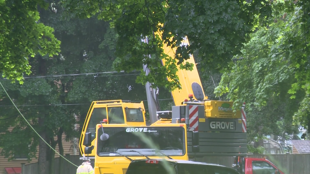 Worker dies after falling 50 feet from tree when harness snaps