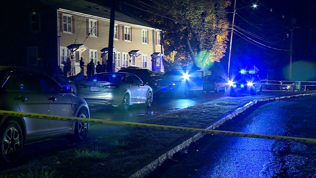 Woman faces domestic assault charges after fatal stabbing