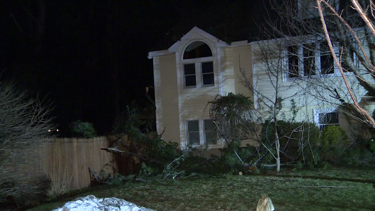 Strong winds snap utility poles, down trees