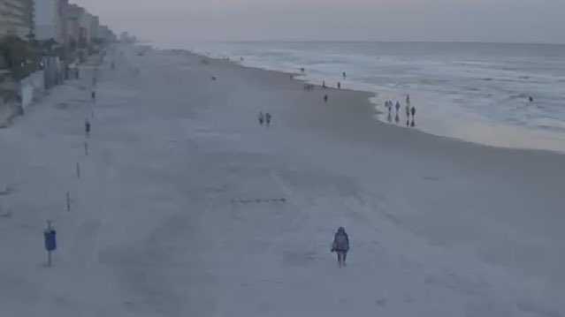 Shark bites man at New Smyrna Beach - Vimarsana News
