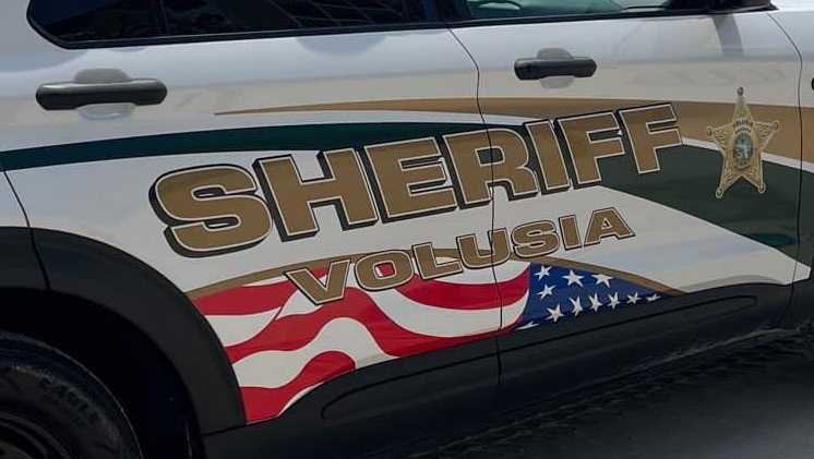Baby killed by dog in Volusia County, sheriff's office says
