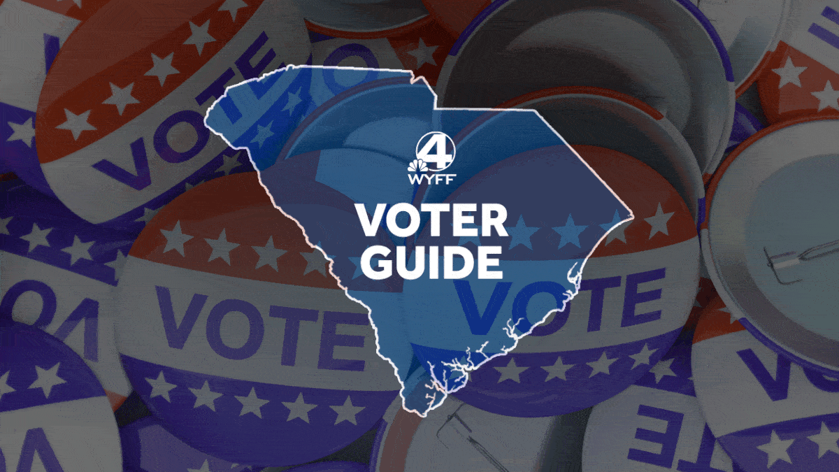 What to know about South Carolina's local elections on Nov. 4