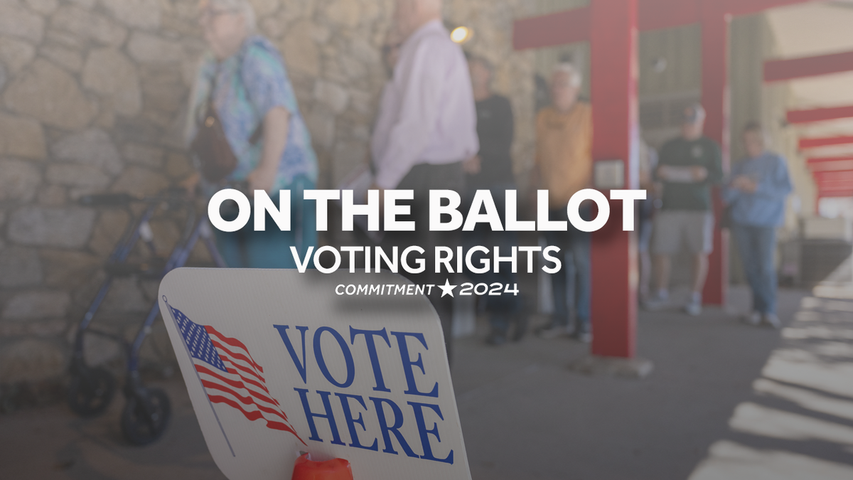 Ballot initiatives 2024 Citizen voting and primary reforms