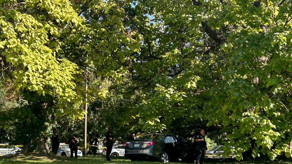 Man dies after being shot multiple times, crashing into tree in Louisville