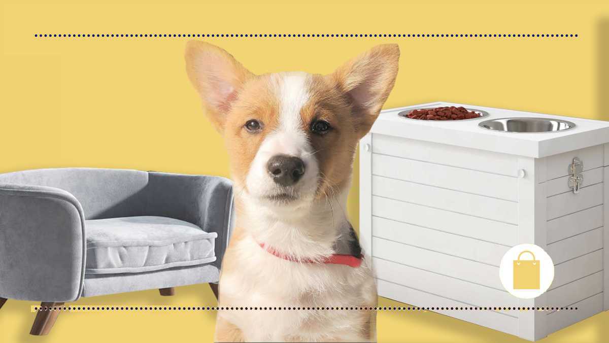 Wayfair sale Big discounts on pet supplies accessories