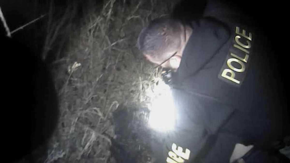 Waldron police chief talks about use of force by former police officer