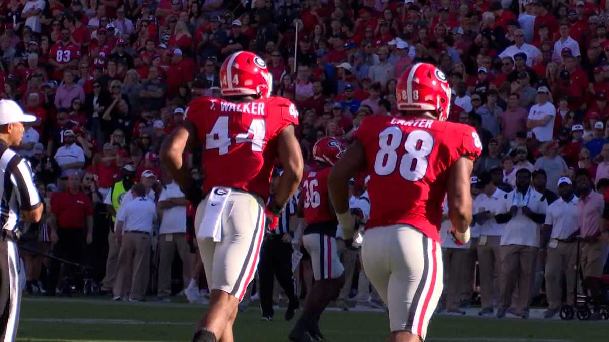 2022 NFL Draft: Georgia defensive lineman Travon Walker