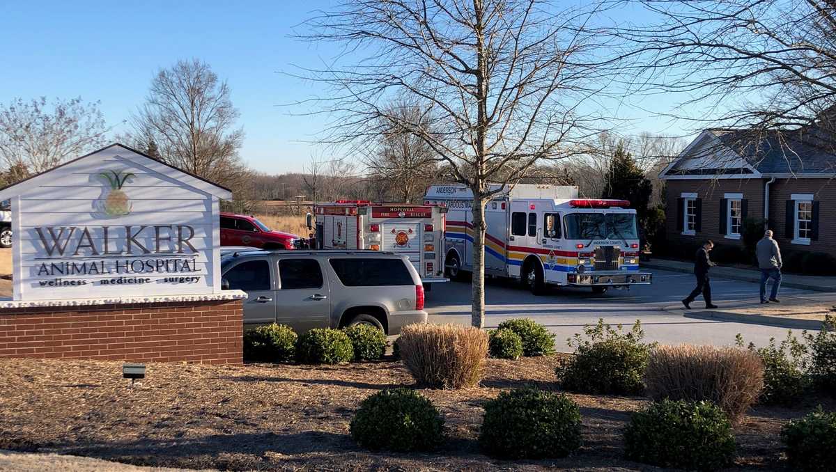 Vet employee taken to hospital after incorrectly mixing chemicals at animal  hospital, vet says