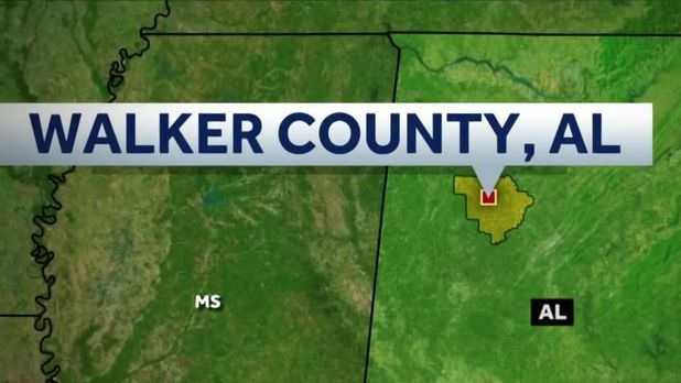 Walker County man beats person with pipe, runs over them with car - Vimarsana News