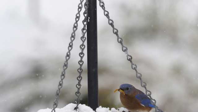 Some towns in Central and Southern Vermont see first snowfall of the season - Vimarsana News