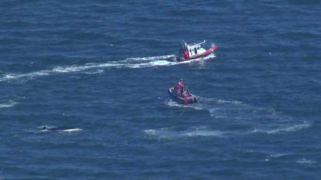 9 kids, 3 adults rescued after boat overturns on Buzzards Bay