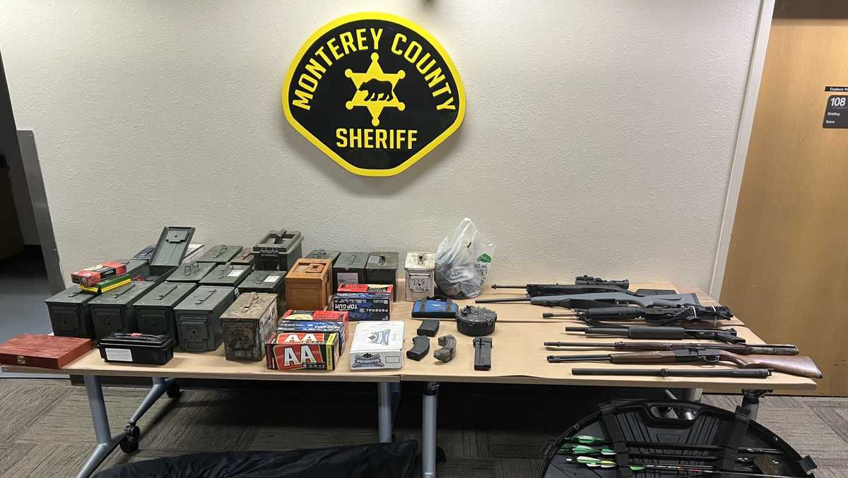Illegal cache of guns found at home of man accused of killing 80 animals