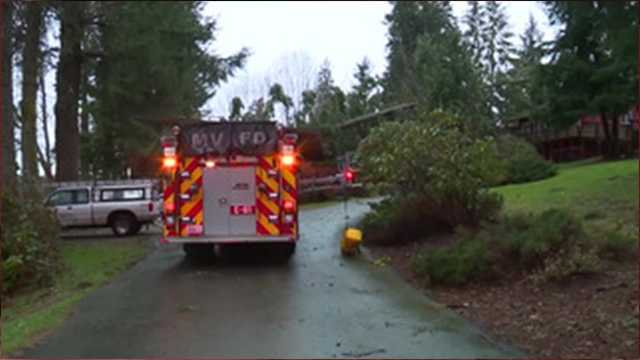 A man sleeping on his couch got struck by a tree that fell onto his apartment. 