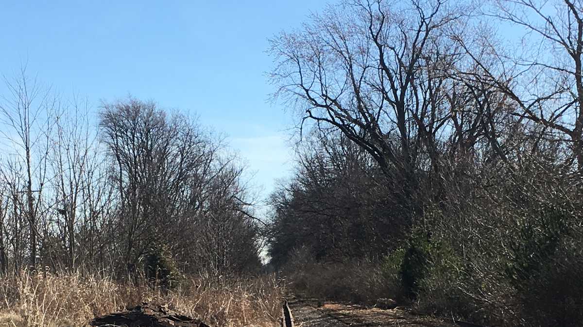 PHOTOS: Railroad removal begins on Wasson Way Trail