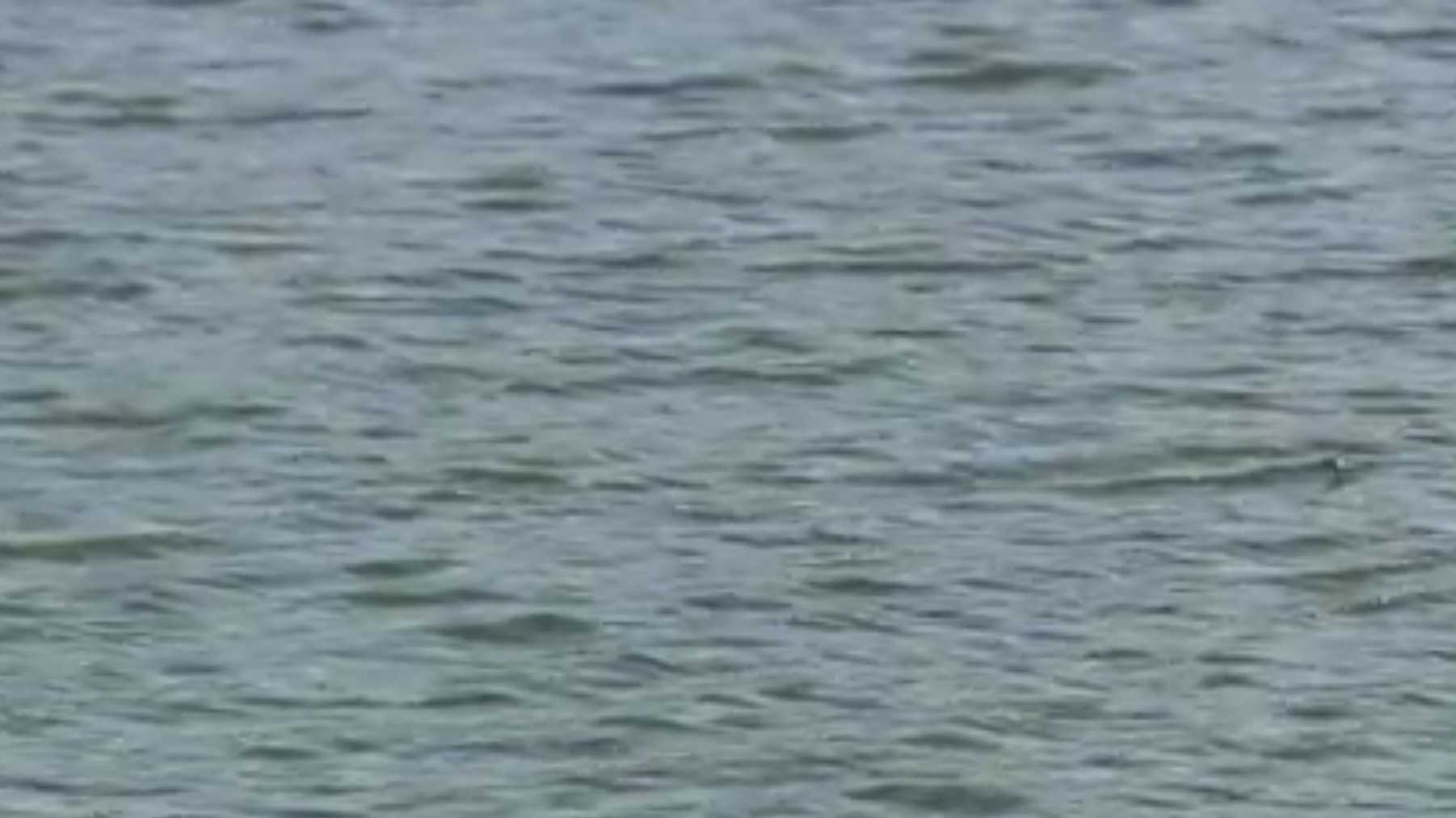 ADEM: A look at water samples across Alabama - Vimarsana News