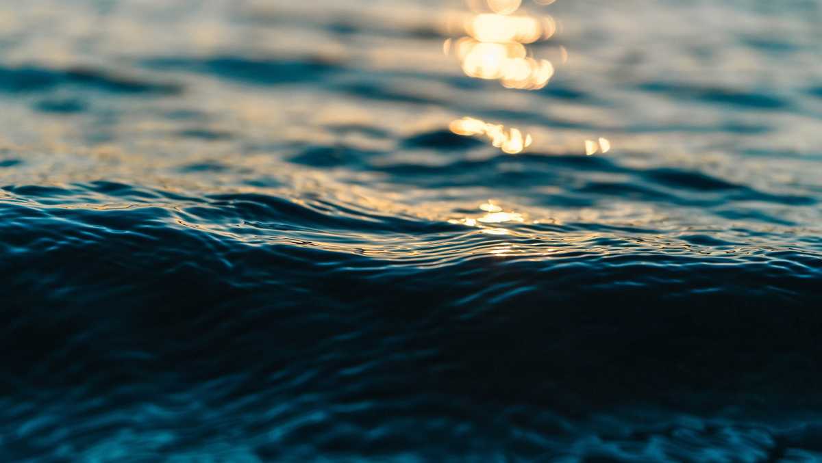 Mississippi River pollution grows 'dead zone' in Gulf