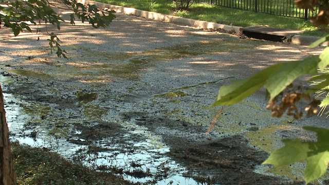 Water flowing down street onto Belhaven property for years, family says - Vimarsana News