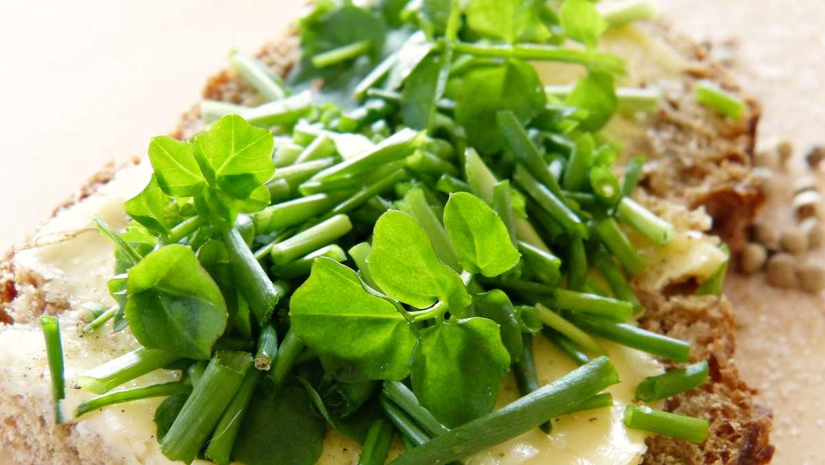 Food Allergy Awareness Week