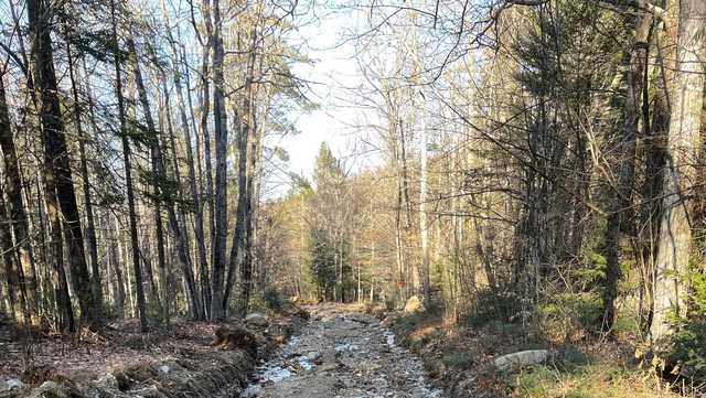 Many Maine snowmobile trails face significant damage - Vimarsana News
