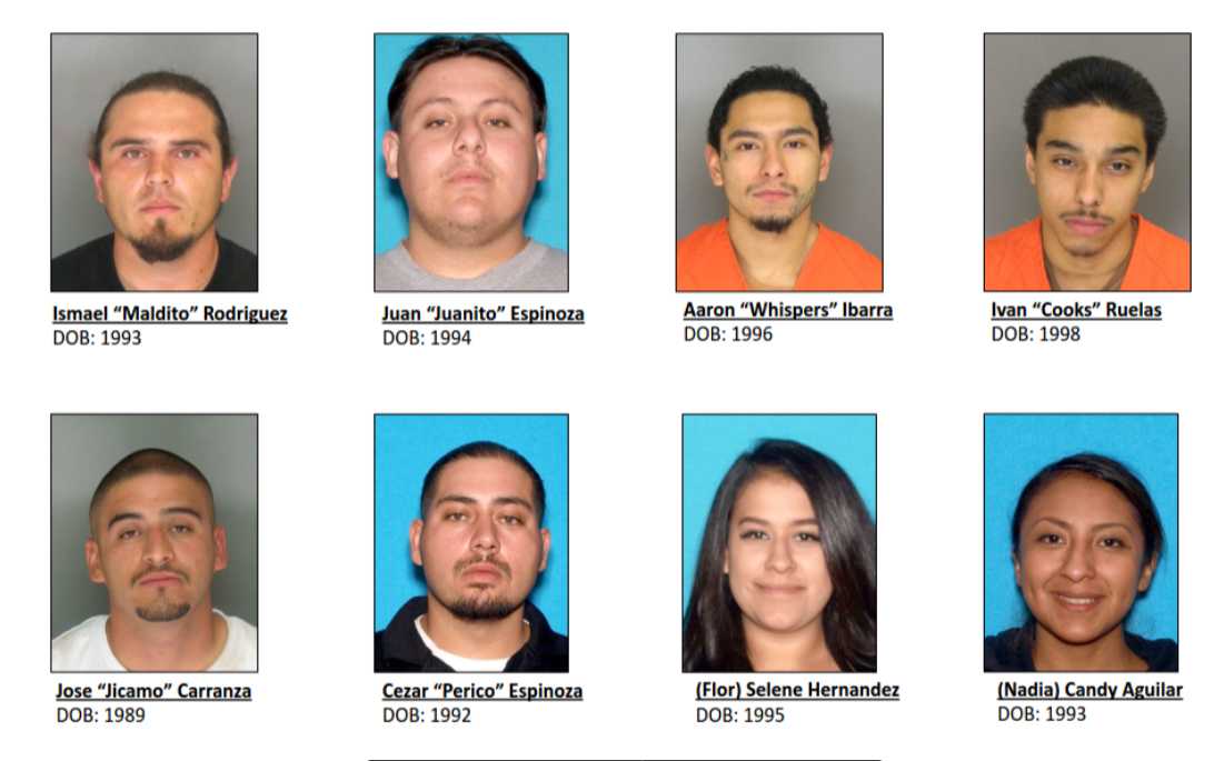 Santa Cruz drug smuggling operation halted after 8 arrests