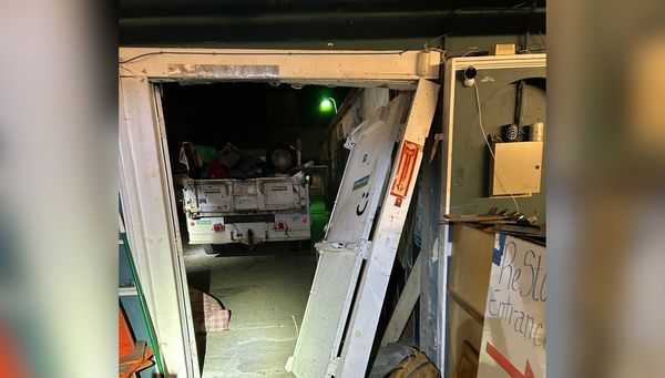 2 alleged burglars caught stealing from California store