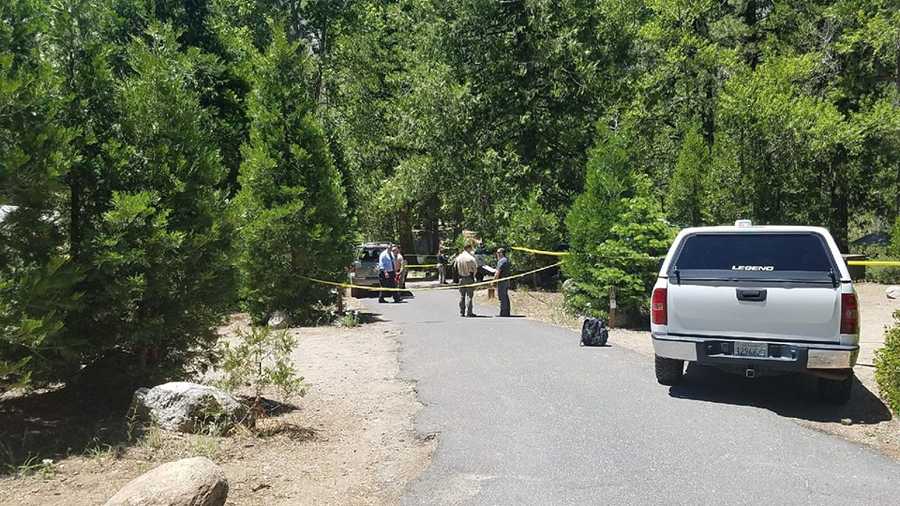 A 36-year-old Watsonville man was shot and killed in the Stainislaus National Forest after breaking into a couple's tent Thursday morning.