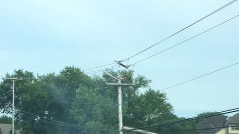 77-year-old man dies after crashing into utility pole in Waukesha County