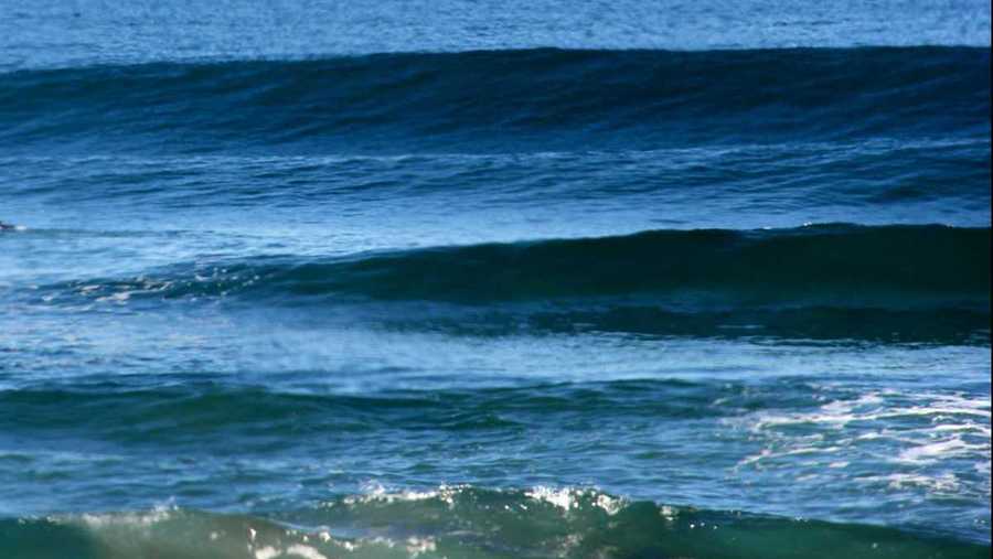 Researchers warn about surfing during pandemic