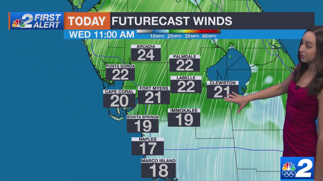 Windy afternoon, severe storms possible tonight - Vimarsana News