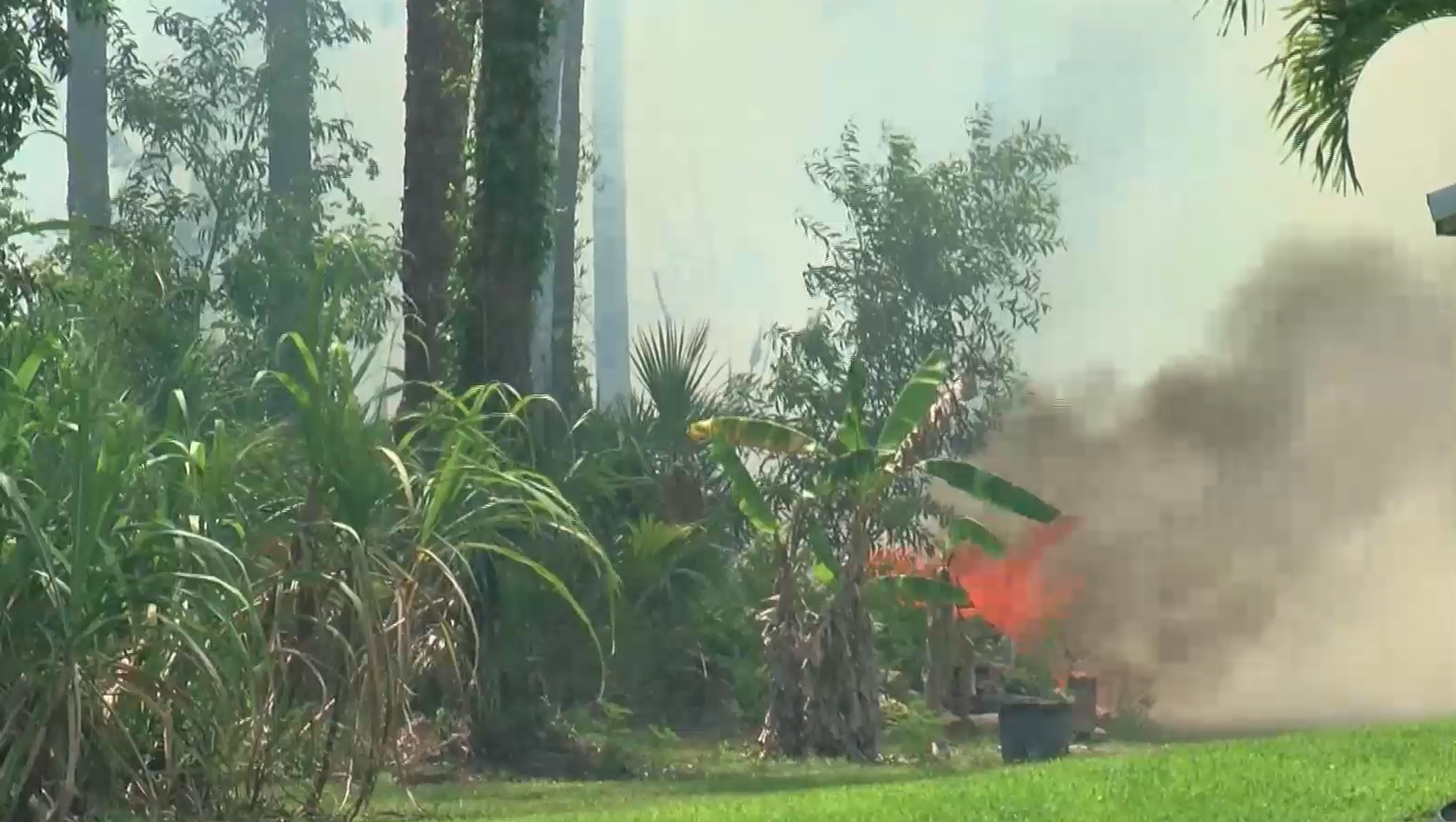 Brush fire reignites in Golden Gate Estates Wednesday - Vimarsana News