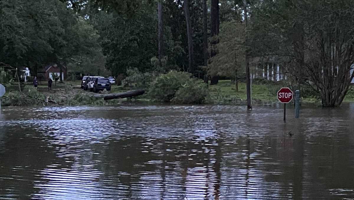 All of Louisiana’s levee systems performed ‘extremely well’ during Ida