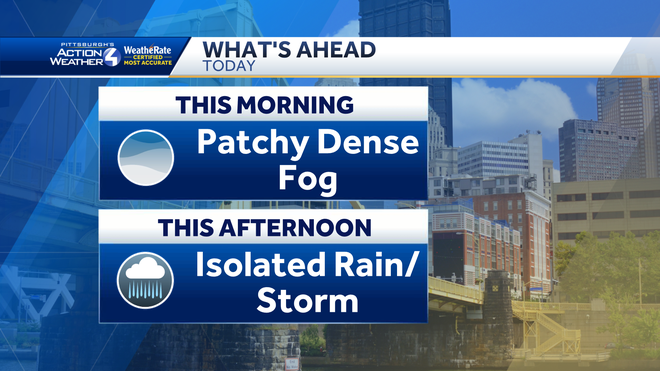 Warm & Humid with an Isolated shower threat
