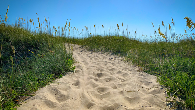 North Carolina's coast impacted by climate change - Vimarsana News