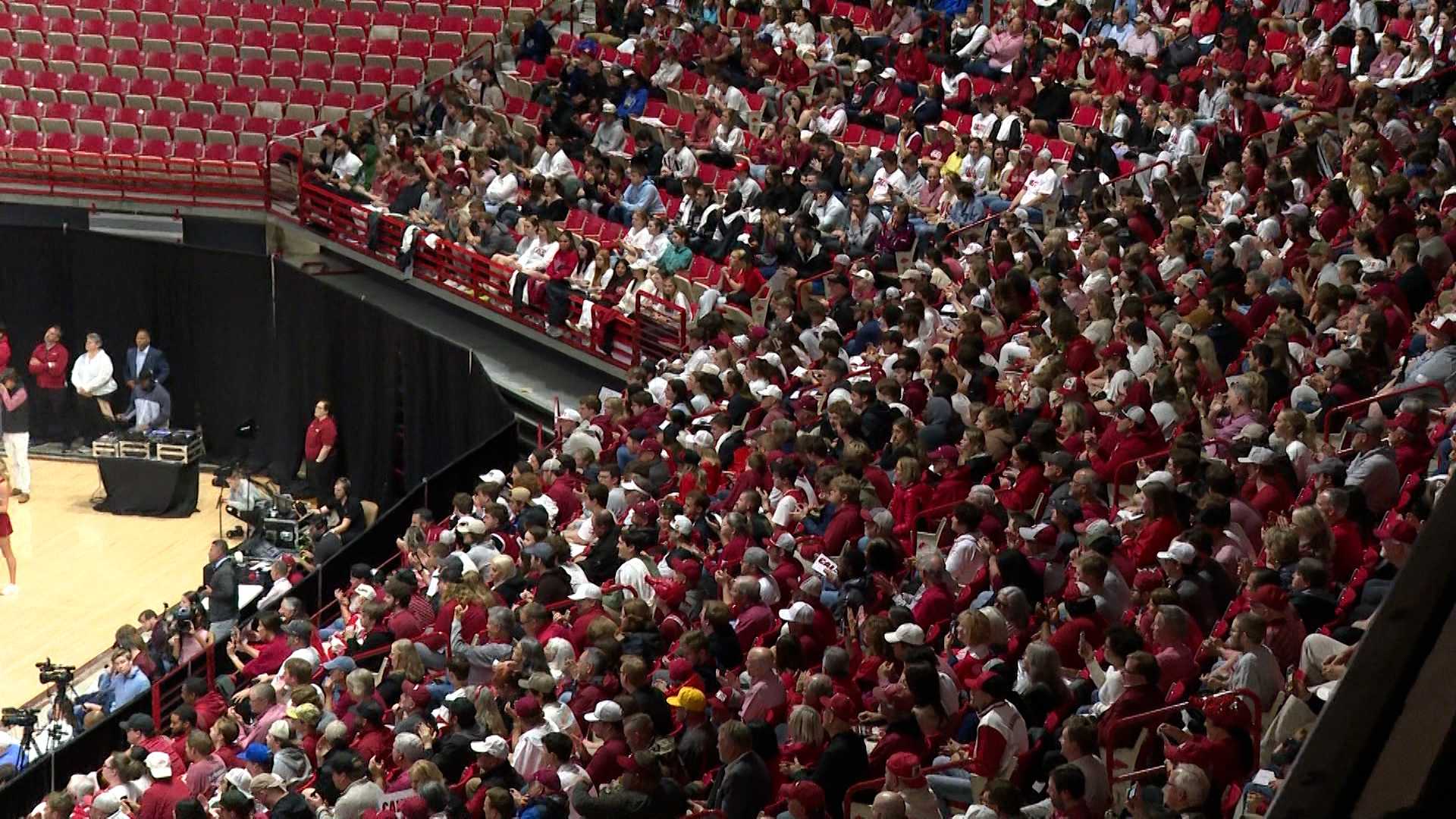 Arkansas fans react to Coach Calipari introductions - Vimarsana News