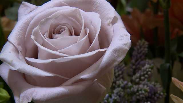 Downtown floral shops prepping for Valentine's Day, Chiefs parade - Vimarsana News