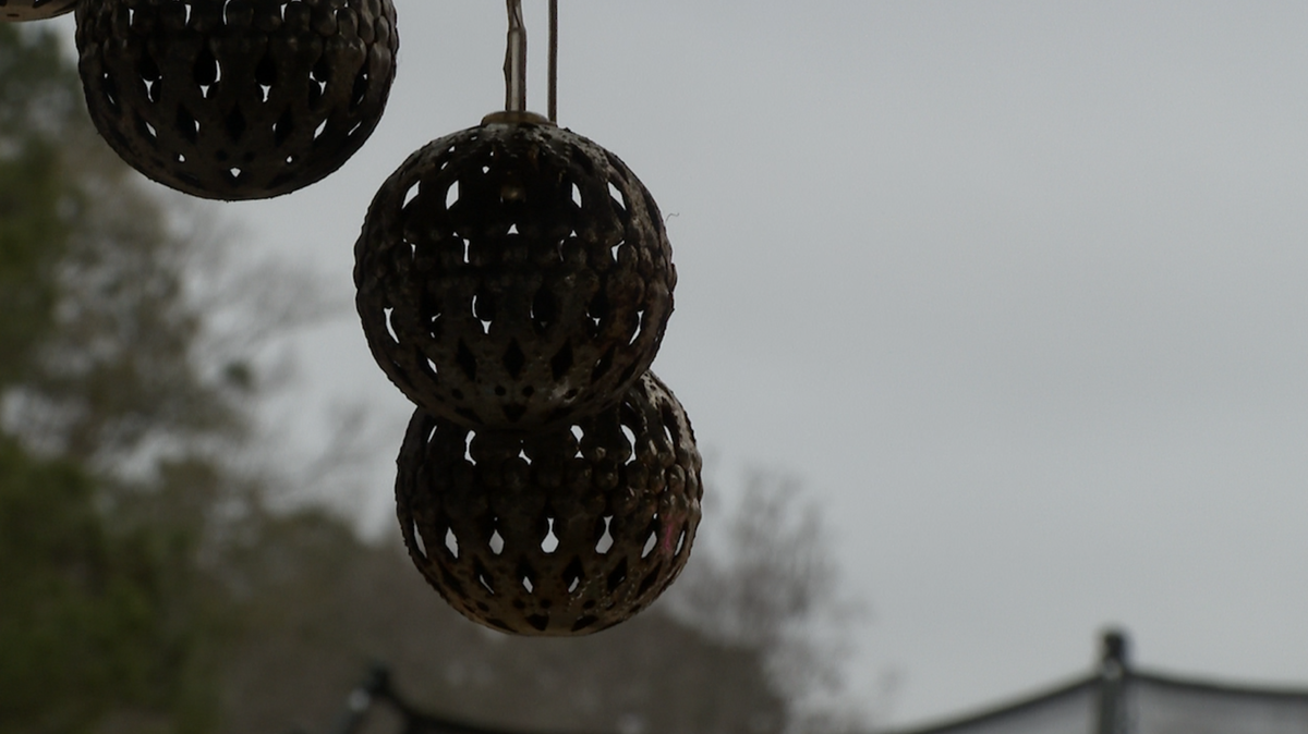 Savannah survivor urges Georgia domestic violence registry