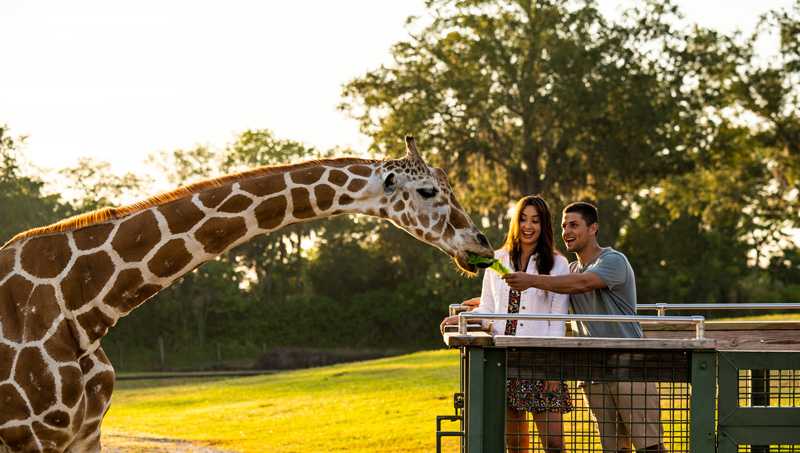 Busch Gardens Tampa Bay offers behind-the-scenes exclusives for