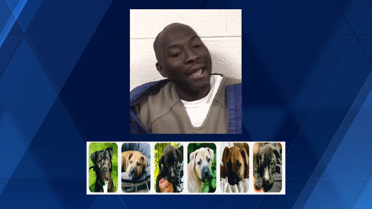 Christopher Railsback Rockingham jury finds man guilty of dogfighting, animal cruelty