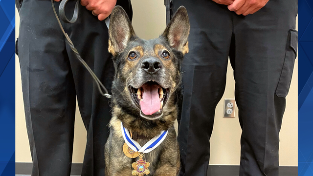 Forsyth County Deputies and K-9 Rex presented the Medal of Valor - Vimarsana News