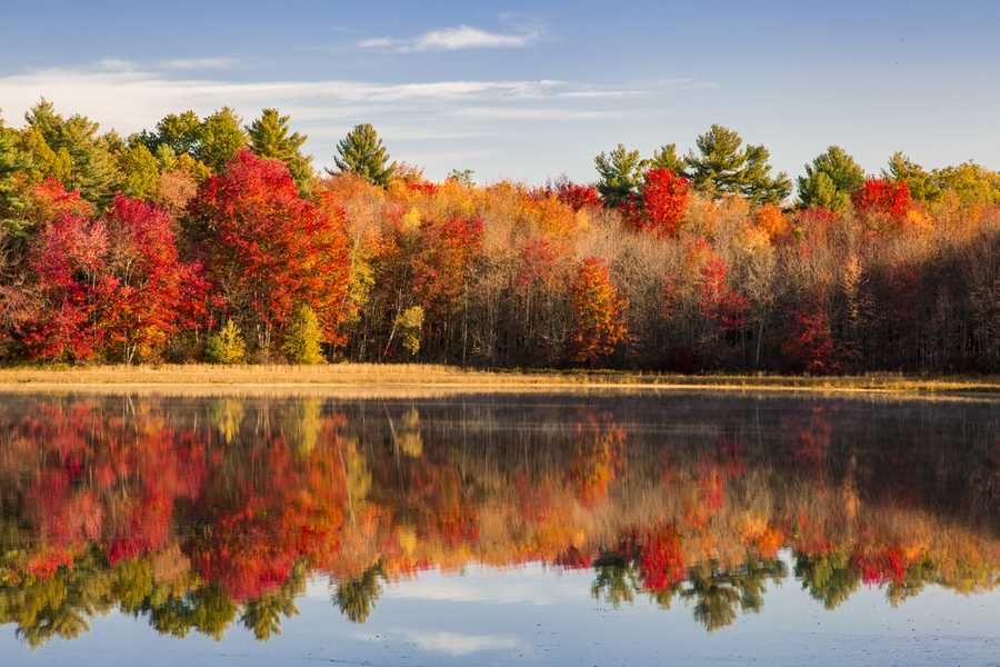 Proof that New Hampshire has the best foliage in the country right now