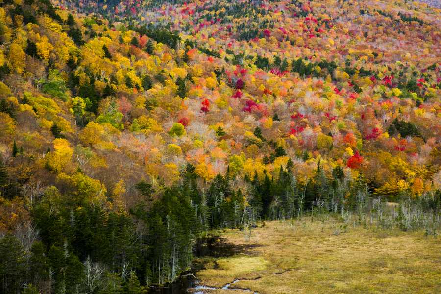 Proof that New Hampshire has the best foliage in the country right now