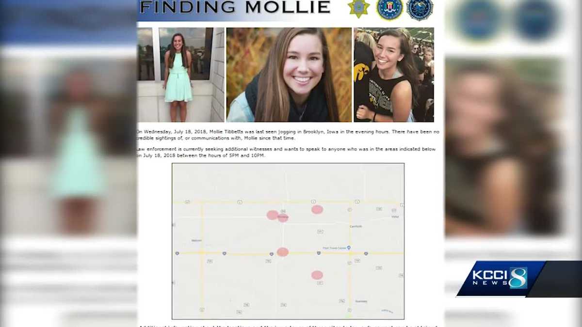 Authorities launch website dedicated to finding Mollie Tibbetts(02)