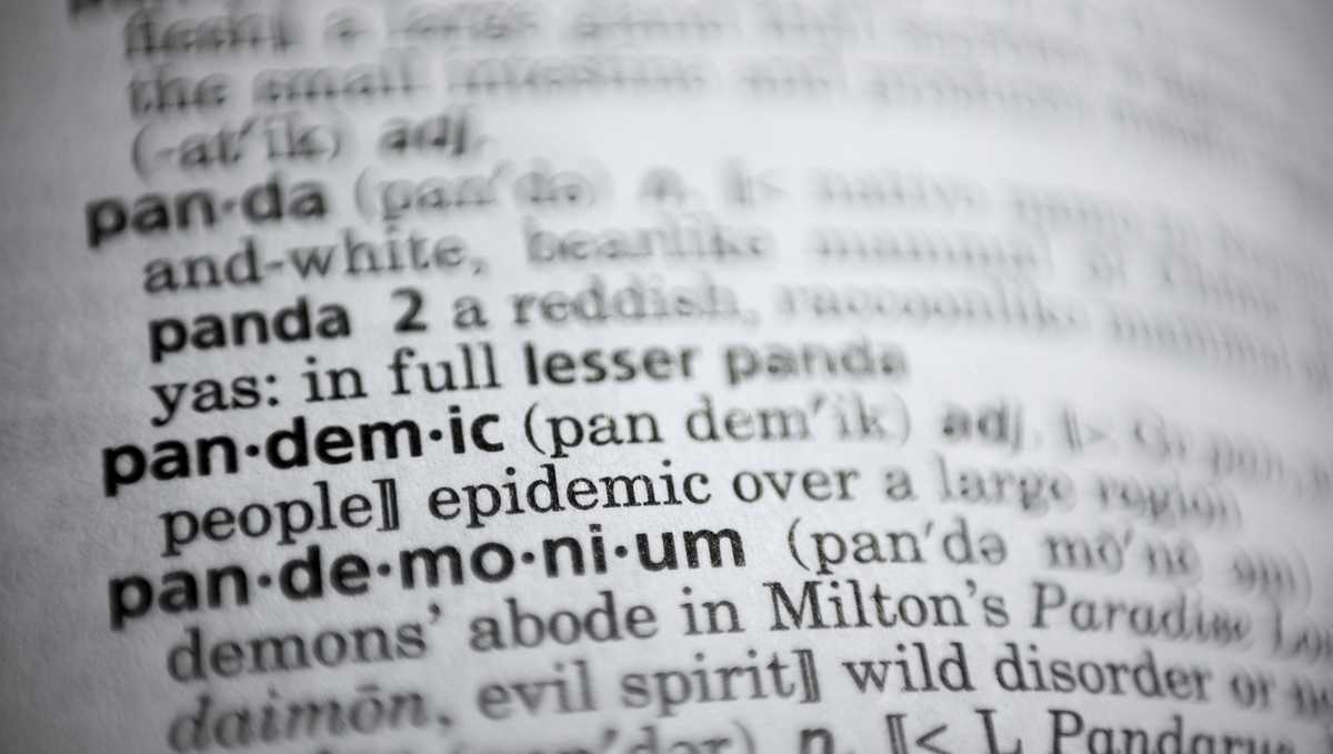 Pandemic Merriam Webster S Top Word Of