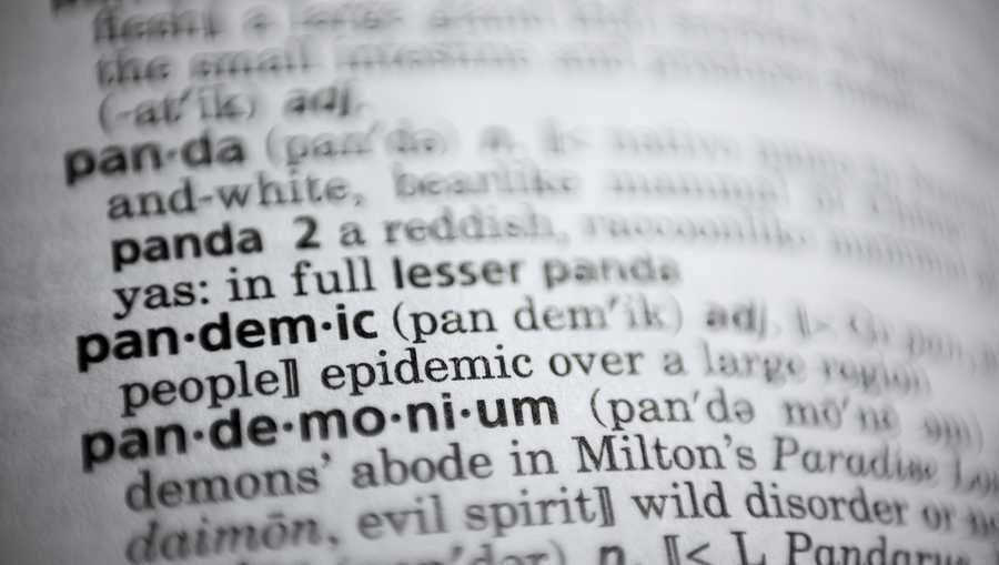 In this Saturday, Nov. 21, 2020, photo the word pandemic is displayed in a dictionary in Washington.