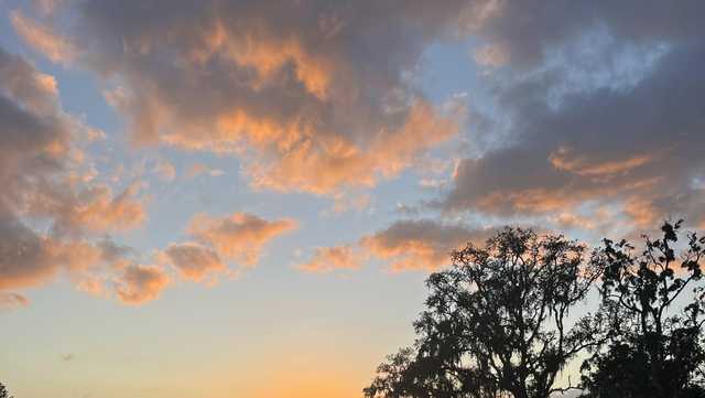 Savannah: Strong cold front lurking to close October - Vimarsana News