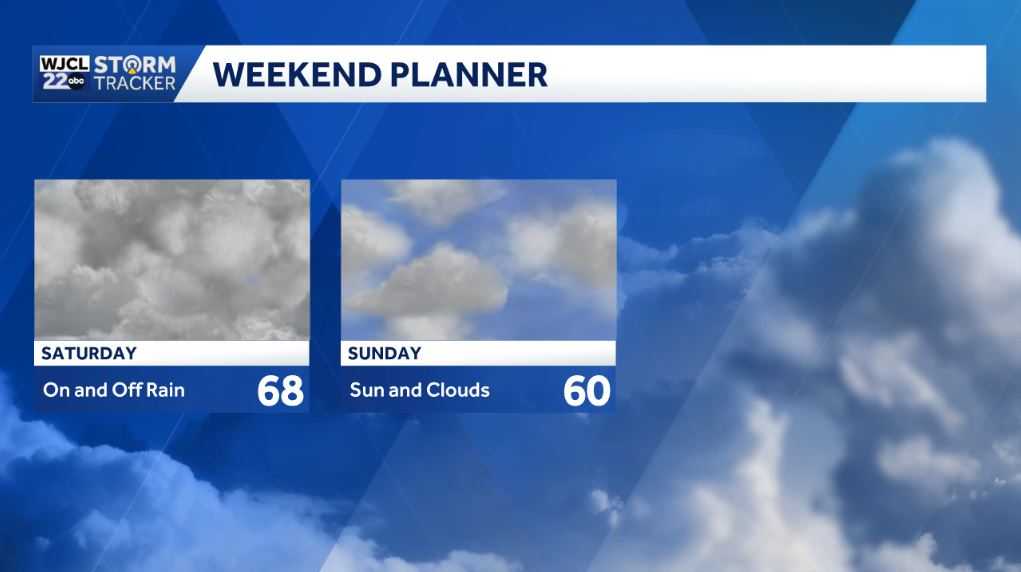 Sunshine for New Year's Day, but tracking rain by the weekend - WJCL